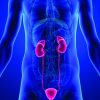 Urologie