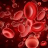 Hematologie